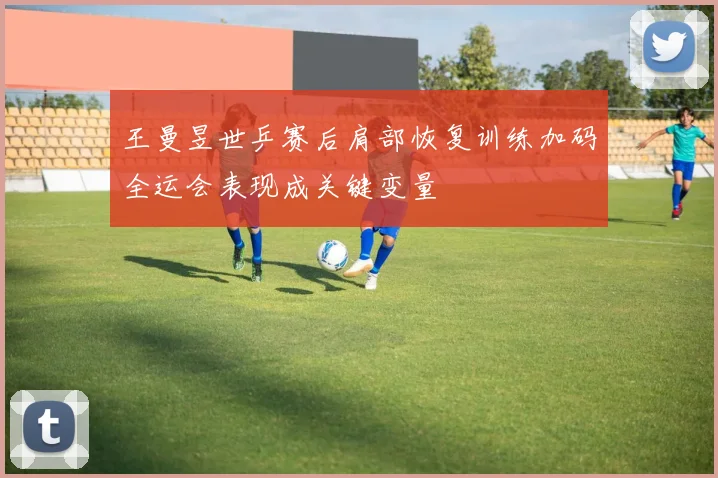 王曼昱世乒赛后肩部恢复训练加码全运会表现成关键变量